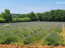  <a style='color: #fff;' href='/uploaded/photo/la-garde-adhy-mar-666211e0be3f0.jpg'>(Télécharger)</a>