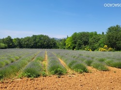  <a style='color: #fff;' href='/uploaded/photo/la-garde-adhy-mar-666211e26c48f.jpg'>(Télécharger)</a>