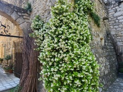  <a style='color: #fff;' href='/uploaded/photo/la-garde-adhy-mar-666211e296754.jpg'>(Télécharger)</a>