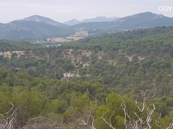  <a style='color: #fff;' href='/uploaded/photo/lac-du-paty-635cd3ae3b39f.jpg'>(Télécharger)</a>