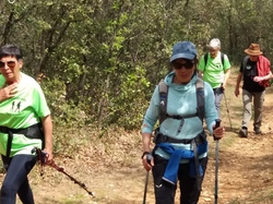  <a style='color: #fff;' href='/uploaded/photo/lagarde-pareol-6444056f32171.jpg'>(Télécharger)</a>