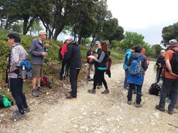  <a style='color: #fff;' href='/uploaded/photo/lagarde-pareol-644405708188e.jpg'>(Télécharger)</a>