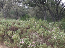  <a style='color: #fff;' href='/uploaded/photo/lagarde-pareol-64440570c1e8f.jpg'>(Télécharger)</a>