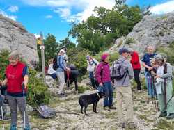  <a style='color: #fff;' href='/uploaded/photo/le-pas-du-loup-depuis-crestet-682f8c8264049.jpg'>(Télécharger)</a>