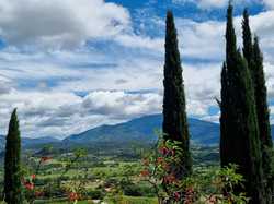  <a style='color: #fff;' href='/uploaded/photo/le-pas-du-loup-depuis-crestet-682f8c827d56e.jpg'>(Télécharger)</a>