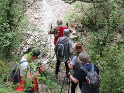  <a style='color: #fff;' href='/uploaded/photo/le-pas-du-loup-depuis-crestet-683021ec99d49.jpg'>(Télécharger)</a>