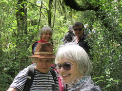  <a style='color: #fff;' href='/uploaded/photo/le-pas-du-loup-depuis-crestet-683021ed01a00.jpg'>(Télécharger)</a>