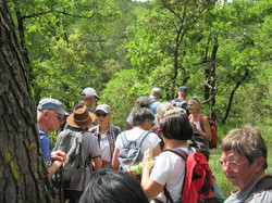  <a style='color: #fff;' href='/uploaded/photo/le-pas-du-loup-depuis-crestet-683021ed38baf.jpg'>(Télécharger)</a>