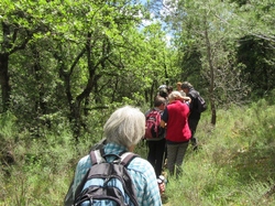  <a style='color: #fff;' href='/uploaded/photo/le-pas-du-loup-depuis-crestet-683021ed83ad2.jpg'>(Télécharger)</a>