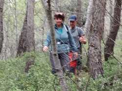  <a style='color: #fff;' href='/uploaded/photo/le-rocher-de-rocalinaud-653bc7c639491.jpg'>(Télécharger)</a>