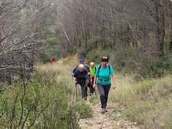  <a style='color: #fff;' href='/uploaded/photo/le-rocher-de-rocalinaud-653bc7d10240b.jpg'>(Télécharger)</a>