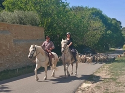  <a style='color: #fff;' href='/uploaded/photo/le-rocher-des-3-luisants-645403d388620.jpg'>(Télécharger)</a>