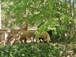  <a style='color: #fff;' href='/uploaded/photo/le-rocher-des-3-luisants-645403dd8361b.jpg'>(Télécharger)</a>