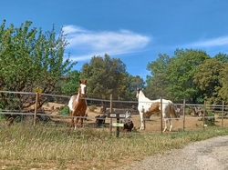  <a style='color: #fff;' href='/uploaded/photo/le-rocher-des-3-luisants-645403e44680e.jpg'>(Télécharger)</a>