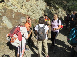  <a style='color: #fff;' href='/uploaded/photo/les-gy-ants-depuis-piegon-67095de1e177d.jpg'>(Télécharger)</a>