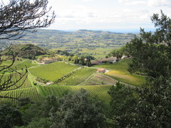  <a style='color: #fff;' href='/uploaded/photo/les-gy-ants-depuis-piegon-67095de243270.jpg'>(Télécharger)</a>