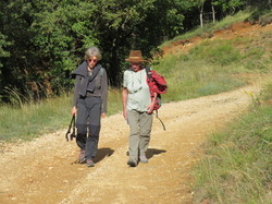  <a style='color: #fff;' href='/uploaded/photo/les-gy-ants-depuis-piegon-67095de387da0.jpg'>(Télécharger)</a>