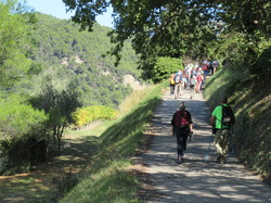  <a style='color: #fff;' href='/uploaded/photo/les-gy-ants-depuis-piegon-67095de437ea0.jpg'>(Télécharger)</a>