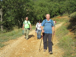  <a style='color: #fff;' href='/uploaded/photo/les-gy-ants-depuis-piegon-67095de43c723.jpg'>(Télécharger)</a>