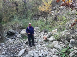  <a style='color: #fff;' href='/uploaded/photo/les-hauts-de-mollans-5f9be72af05df.jpg'>(Télécharger)</a>