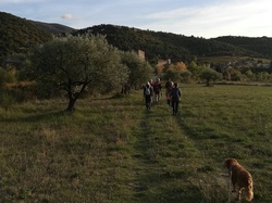  <a style='color: #fff;' href='/uploaded/photo/les-hauts-de-mollans-5f9be72f45a56.jpg'>(Télécharger)</a>