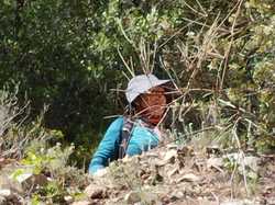  <a style='color: #fff;' href='/uploaded/photo/les-hauts-de-seguret-66236a76d1fe8.jpg'>(Télécharger)</a>