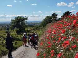  <a style='color: #fff;' href='/uploaded/photo/les-hauts-de-seguret-66236a77d6d2d.jpg'>(Télécharger)</a>