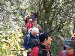  <a style='color: #fff;' href='/uploaded/photo/les-hauts-de-seguret-66236a784e4d8.jpg'>(Télécharger)</a>