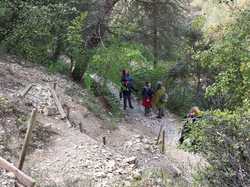  <a style='color: #fff;' href='/uploaded/photo/les-hauts-de-seguret-66236a78b8303.jpg'>(Télécharger)</a>