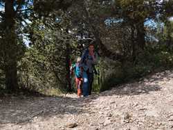  <a style='color: #fff;' href='/uploaded/photo/les-hauts-de-seguret-66236a78c19d2.jpg'>(Télécharger)</a>