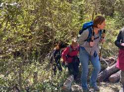  <a style='color: #fff;' href='/uploaded/photo/les-hauts-de-seguret-66236a78e2bd5.jpg'>(Télécharger)</a>