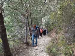  <a style='color: #fff;' href='/uploaded/photo/les-hauts-de-seguret-66236a78e4ca4.jpg'>(Télécharger)</a>