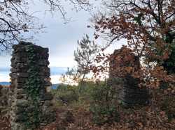  <a style='color: #fff;' href='/uploaded/photo/les-safres-de-serre-rouge-6961311fd660f.jpg'>(Télécharger)</a>