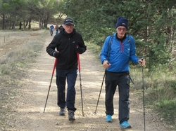  <a style='color: #fff;' href='/uploaded/photo/les-safres-de-serre-rouge-69613121b4372.jpg'>(Télécharger)</a>