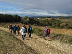  <a style='color: #fff;' href='/uploaded/photo/les-safres-de-serre-rouge-6961312250ff6.jpg'>(Télécharger)</a>