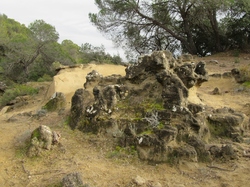  <a style='color: #fff;' href='/uploaded/photo/les-safres-de-serre-rouge-6961312391587.jpg'>(Télécharger)</a>