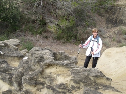  <a style='color: #fff;' href='/uploaded/photo/les-safres-de-serre-rouge-696131240c368.jpg'>(Télécharger)</a>