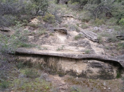  <a style='color: #fff;' href='/uploaded/photo/les-safres-de-serre-rouge-696131249a93b.jpg'>(Télécharger)</a>