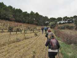  <a style='color: #fff;' href='/uploaded/photo/les-safres-de-serre-rouge-6961312520cb3.jpg'>(Télécharger)</a>