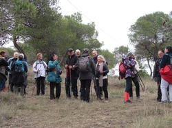  <a style='color: #fff;' href='/uploaded/photo/les-safres-de-serre-rouge-6961312590900.jpg'>(Télécharger)</a>