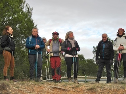  <a style='color: #fff;' href='/uploaded/photo/les-safres-de-serre-rouge-696131266359b.jpg'>(Télécharger)</a>