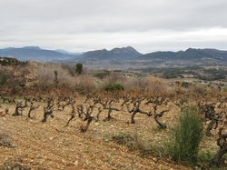  <a style='color: #fff;' href='/uploaded/photo/les-safres-de-serre-rouge-696131271de02.jpg'>(Télécharger)</a>