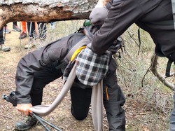  <a style='color: #fff;' href='/uploaded/photo/les-safres-de-serre-rouge-6961312cac046.jpg'>(Télécharger)</a>