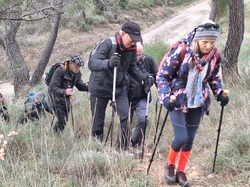  <a style='color: #fff;' href='/uploaded/photo/les-safres-de-serre-rouge-6961312ed86b5.jpg'>(Télécharger)</a>