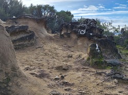  <a style='color: #fff;' href='/uploaded/photo/les-safres-de-serre-rouge-6961312ee6b27.jpg'>(Télécharger)</a>