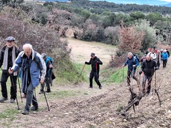  <a style='color: #fff;' href='/uploaded/photo/les-safres-de-serre-rouge-6961313012b5d.jpg'>(Télécharger)</a>