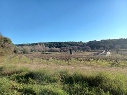  <a style='color: #fff;' href='/uploaded/photo/mini-rando-et-galette-63b7d5a31b62f.jpg'>(Télécharger)</a>