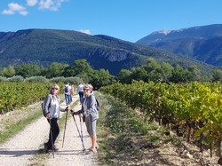  <a style='color: #fff;' href='/uploaded/photo/mollans-617ac79e3c20a.jpg'>(Télécharger)</a>