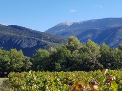  <a style='color: #fff;' href='/uploaded/photo/mollans-617ac79f37e72.jpg'>(Télécharger)</a>