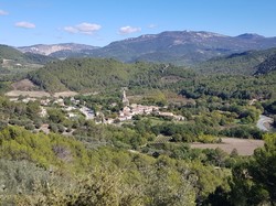  <a style='color: #fff;' href='/uploaded/photo/mollans-617ac79f541da.jpg'>(Télécharger)</a>